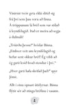 Binna spæjari - Dulmálsgátur