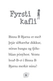 Binna B Bjarna - Safnar peningum