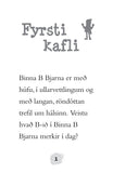 Binna B Bjarna - Vetrarfjör