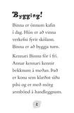 Binna B Bjarna - Glæsilegasta verkefnið