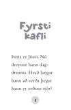 Heyrðu Jónsi! Draumastarfið